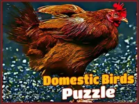 https://loansinsur.online//game/domestic-birds-puzzle