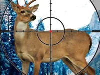 https://loansinsur.online//game/stag-hunter