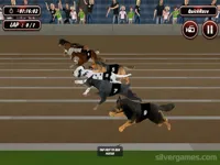 https://loansinsur.online//game/crazy-dog-racing-simulator-games-3d