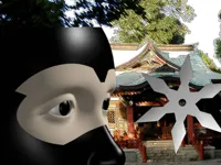 https://loansinsur.online//game/ninja-academy