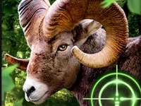 https://loansinsur.online//game/crazy-goat-hunter-2020